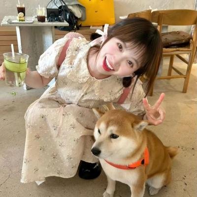 完美星球